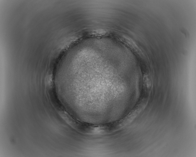 X0000113310564200910051106