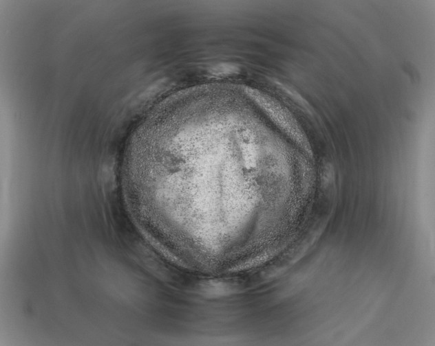 X0000113310565200910051106