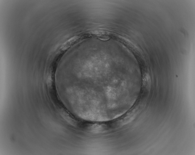 X0000113310566200910051106