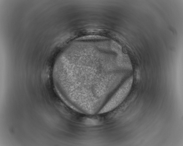 X0000113310567200910051106