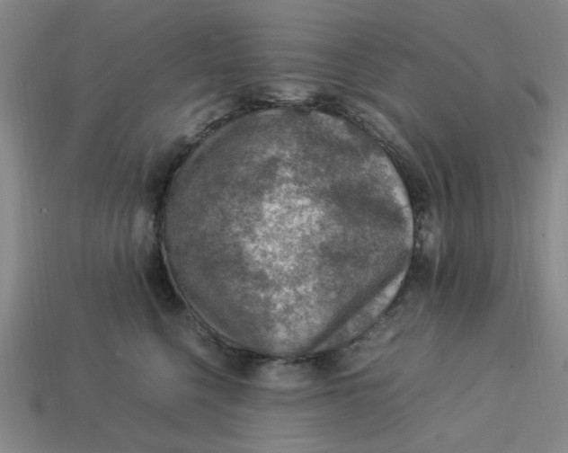 X0000113310568200910051106