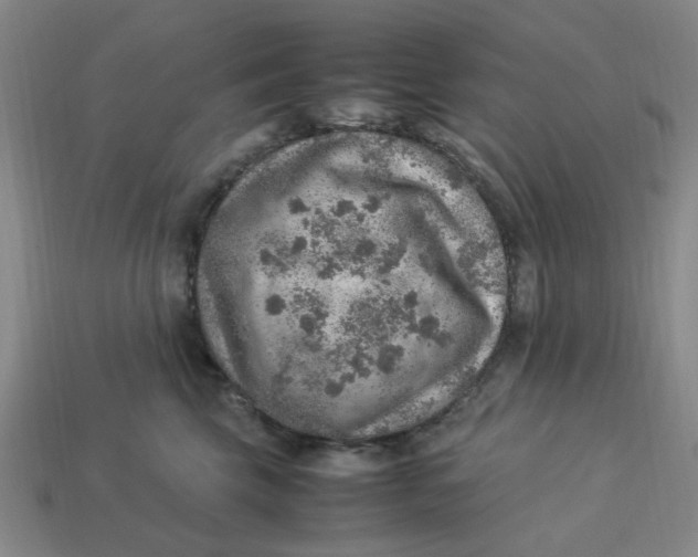 X0000113310569200910051106