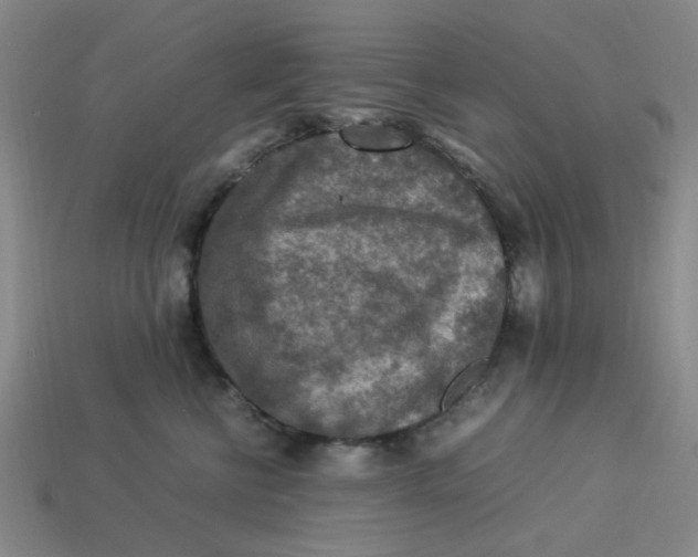 X0000113310570200910051106