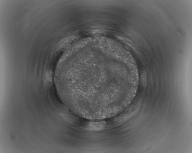 X0000113310571200910051106