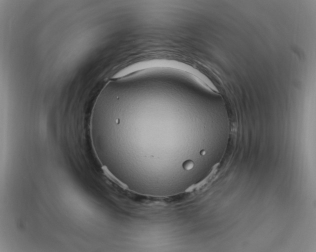 X0000113310572200910051107