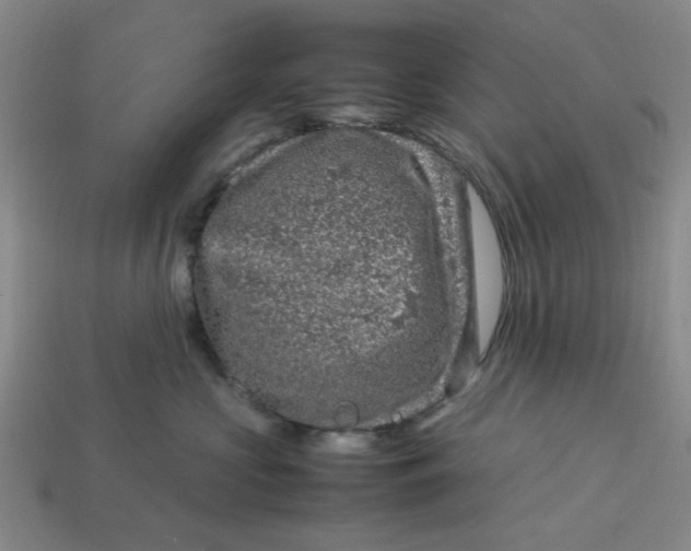 X0000113310573200910051107