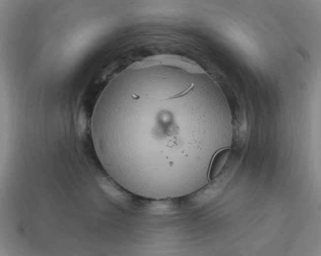 X0000113310574200910051107