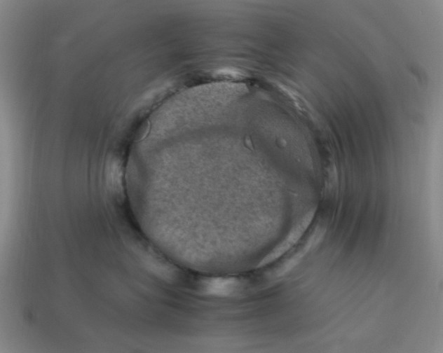 X0000113310575200910051107