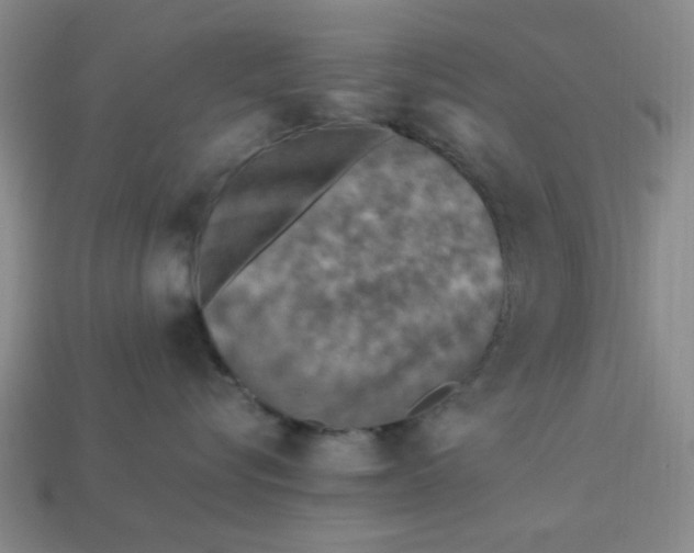 X0000113310576200910051107