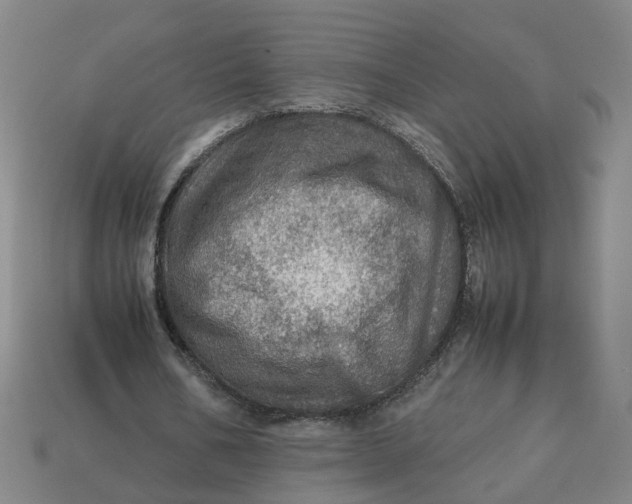 X0000113310578200910051106