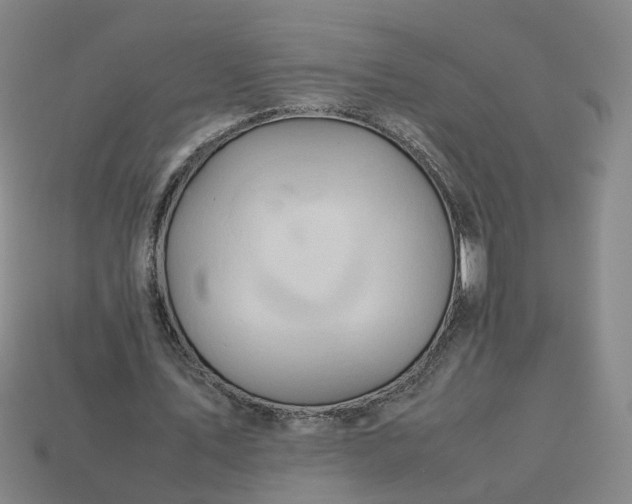 X0000113310579200910051106