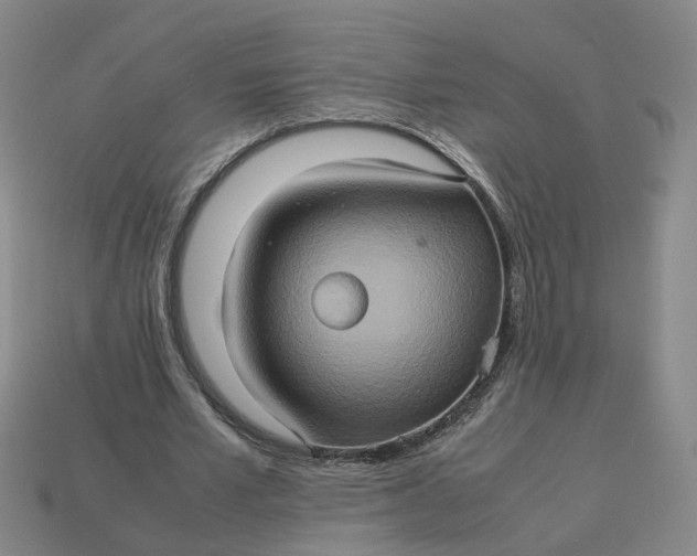 X0000113310581200910051106