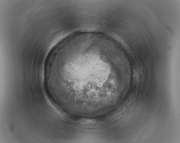 X0000113310582200910051106