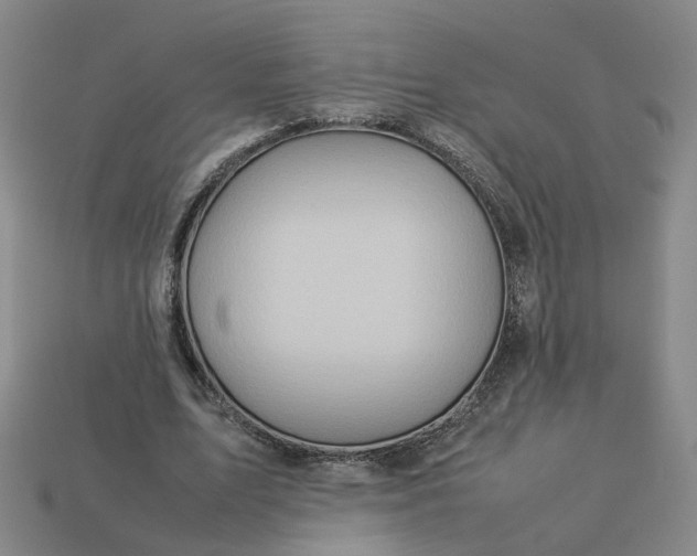 X0000113310583200910051106