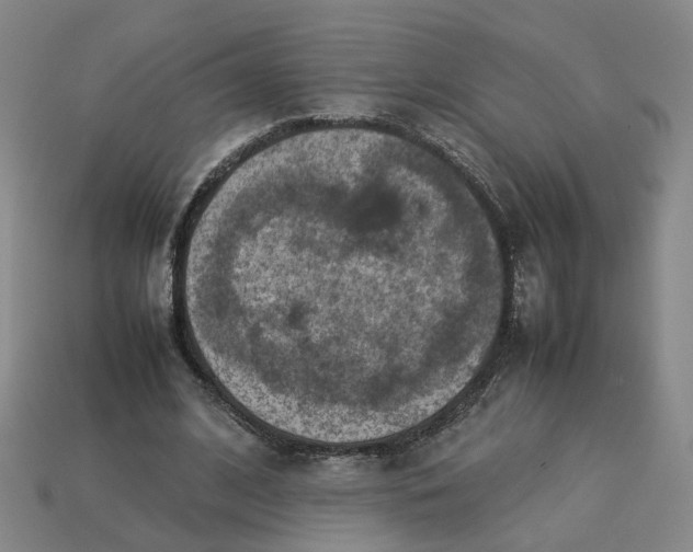 X0000113310584200910051106