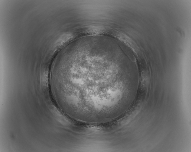 X0000113310585200910051106