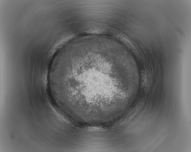 X0000113310586200910051106