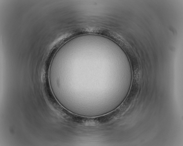 X0000113310587200910051106