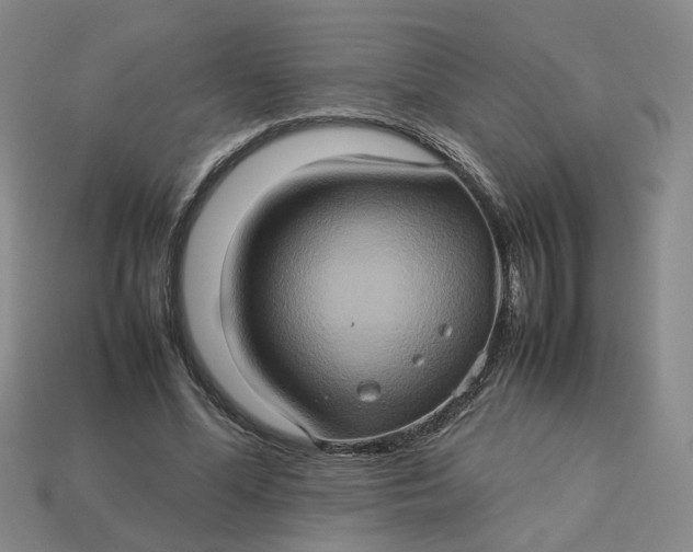 X0000113310588200910051106