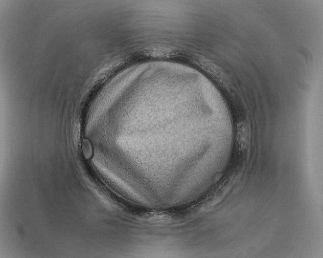 X0000113310589200910051106