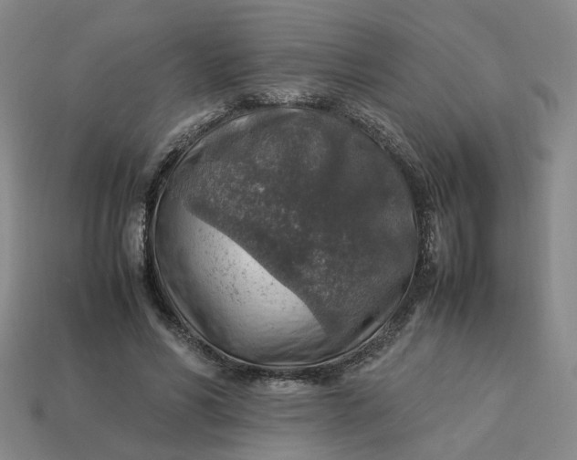 X0000113310590200910051106