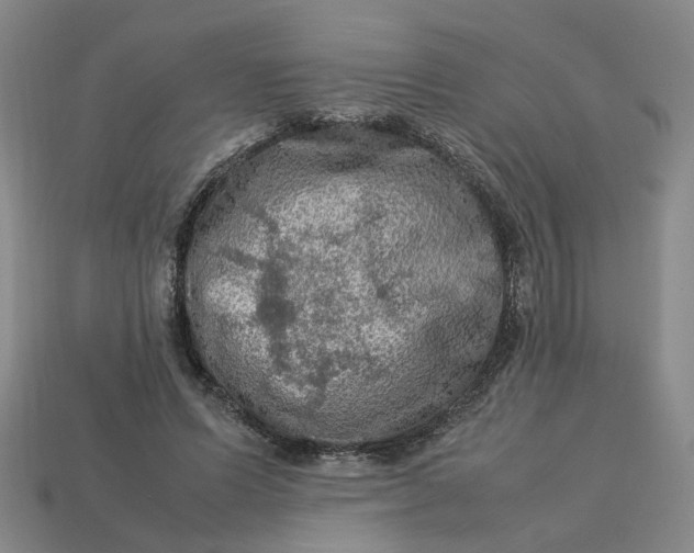 X0000113310591200910051106