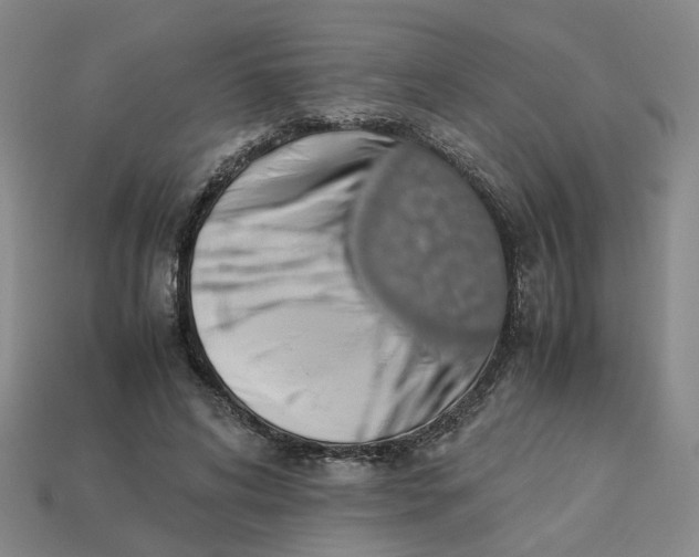 X0000113310592200910051106