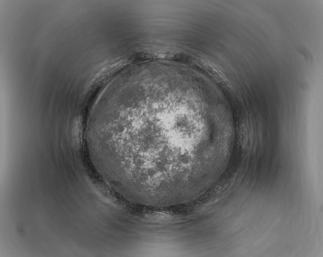 X0000113310594200910051106