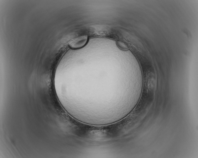 X0000113310595200910051106