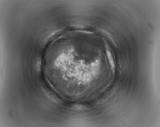 X0000113310596200910051106