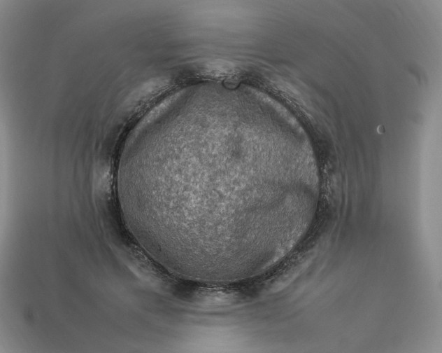 X0000113310597200910051106