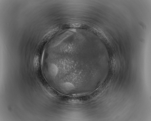 X0000113310598200910051106