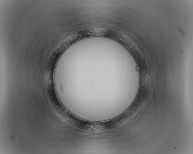 X0000113310599200910051106