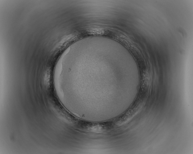 X0000113310600200910051106