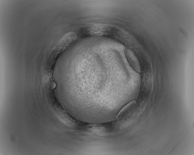 X0000113310601200910051106