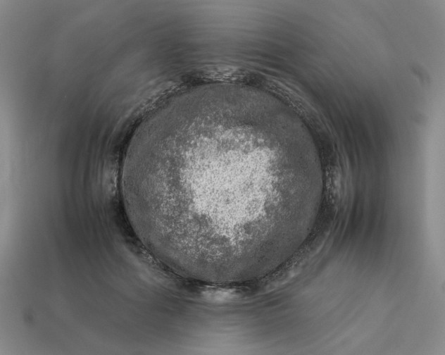 X0000113310602200910051106