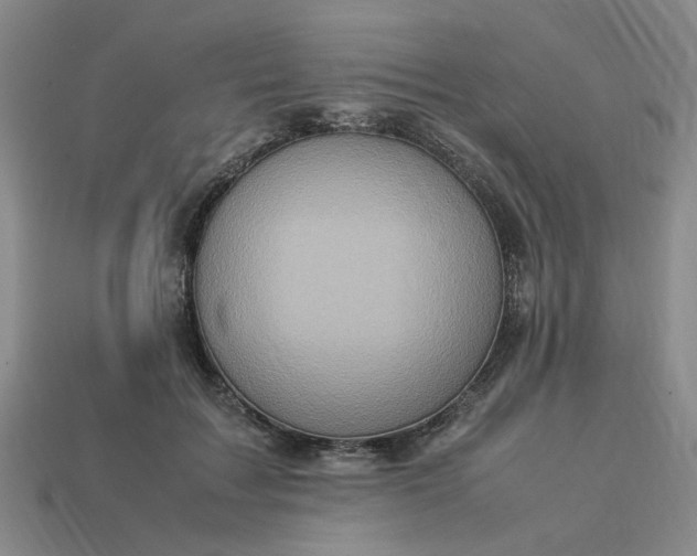 X0000113310603200910051106