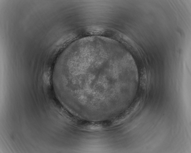 X0000113310604200910051106