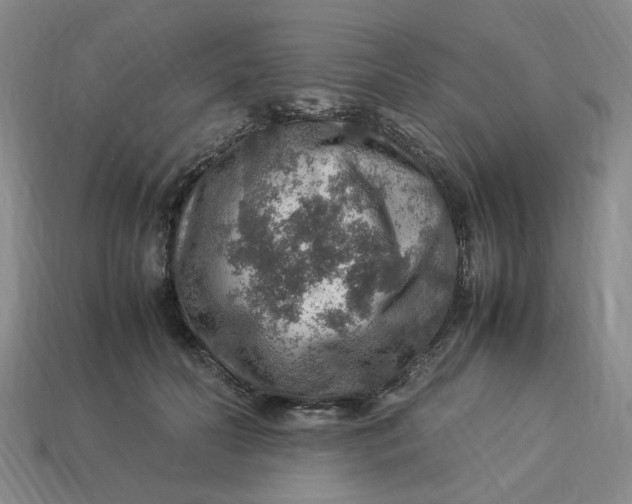 X0000113310606200910051106