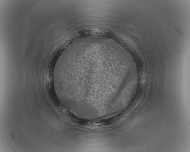 X0000113310607200910051106