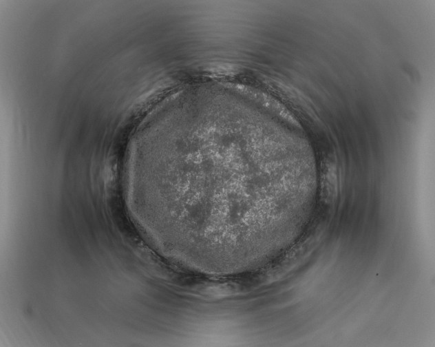 X0000113310608200910051106