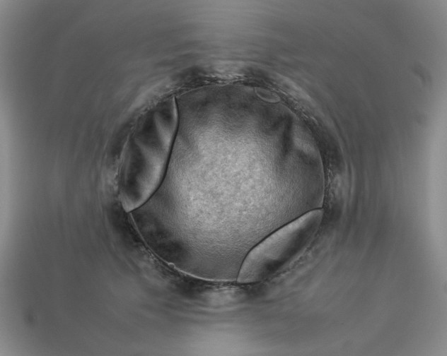 X0000113310609200910051106