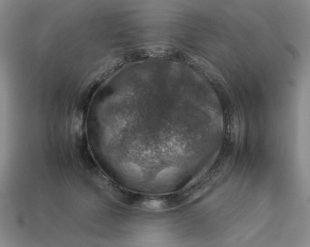 X0000113310610200910051106