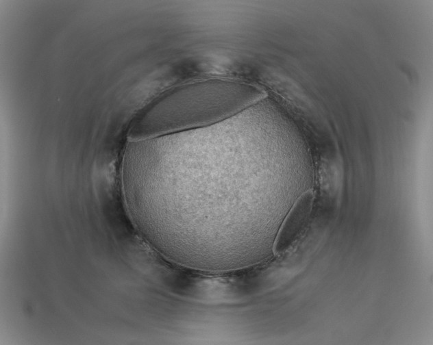 X0000113310611200910051106