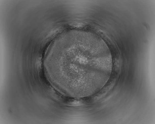 X0000113310612200910051105