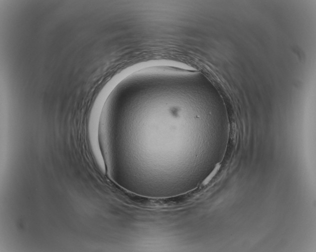 X0000113310613200910051105