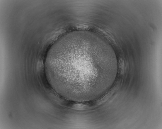 X0000113310614200910051105