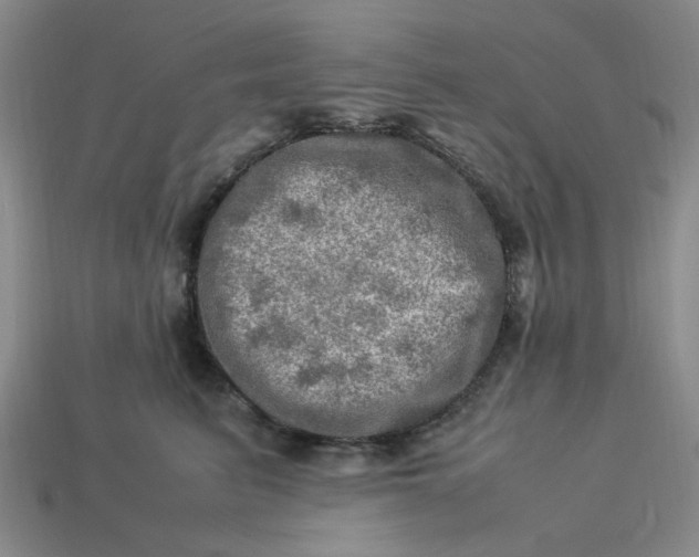 X0000113310615200910051105