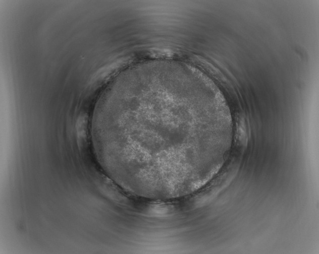 X0000113310616200910051105