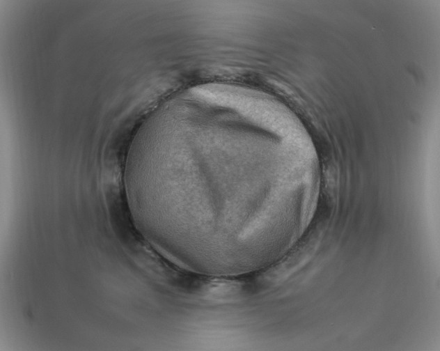 X0000113310617200910051105